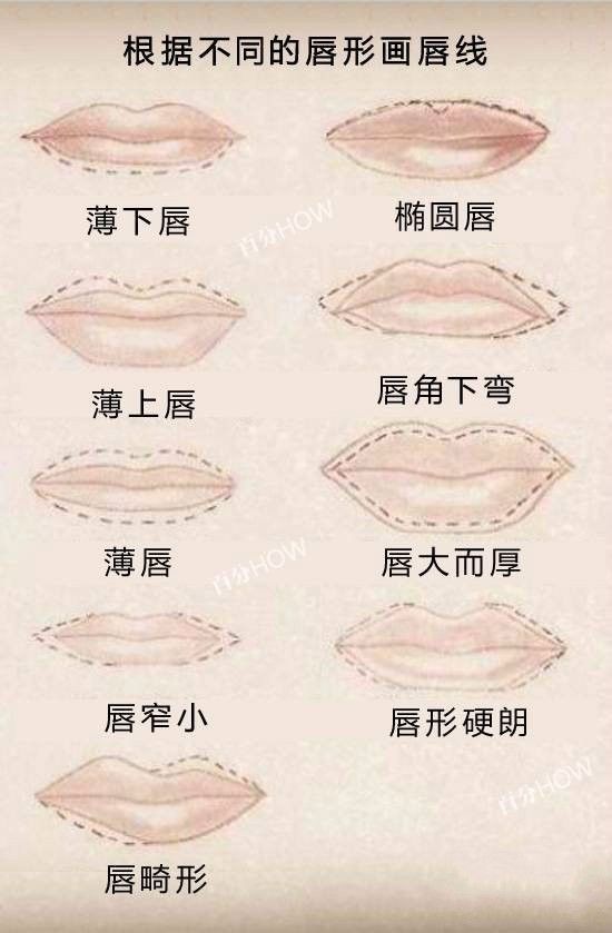 嘴唇形状 类型图片