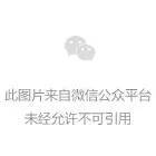 北京气象局：北京花粉等级为4级，过敏风险高山西黄巍的爷爷