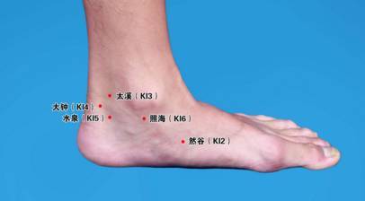 的穴位在脚踝内侧后跟骨上动脉凹陷处,当我们用手指按在这个位置上时