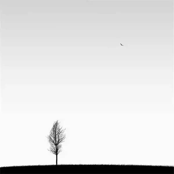 中国画的最高境界——留白，留有让人想像的空间