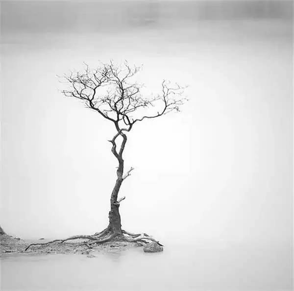 中国画的最高境界——留白，留有让人想像的空间