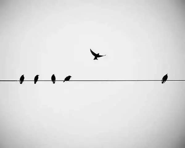 中国画的最高境界——留白，留有让人想像的空间