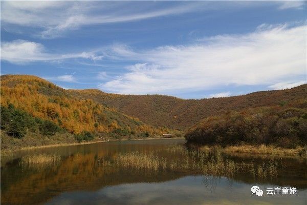 地址:莊浪縣鄭河鄉上寨村(桃木山林場).