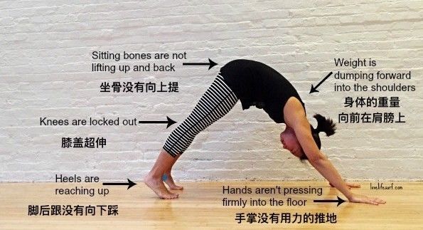 瑜伽下犬式常见的 4 个错误,90%的人都做错了