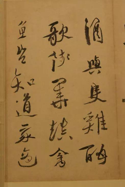 书法|徐渭此书法满纸狼藉，只有高人才能看懂！