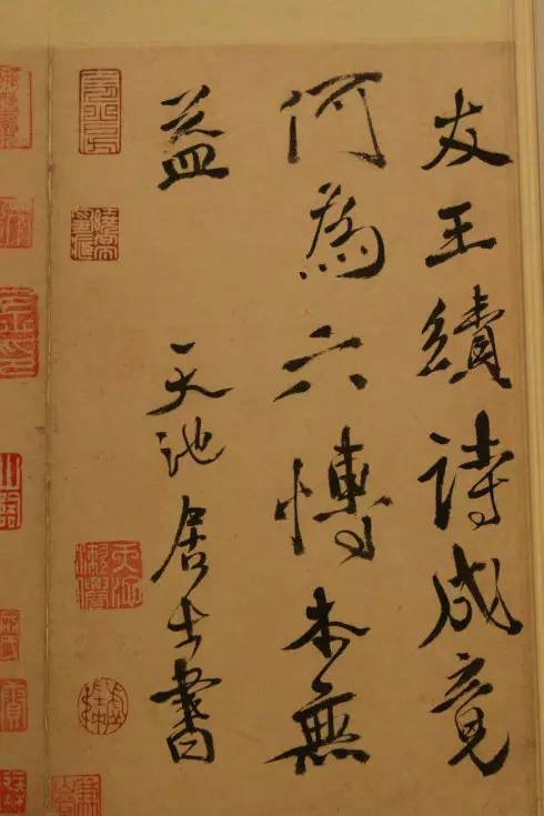 书法|徐渭此书法满纸狼藉，只有高人才能看懂！