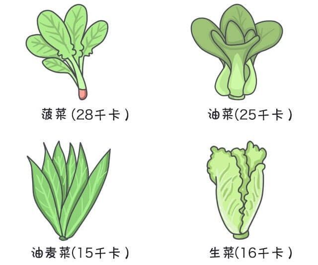 健康减肥食谱_减肥食谱健康营养_减肥食谱健康减肥