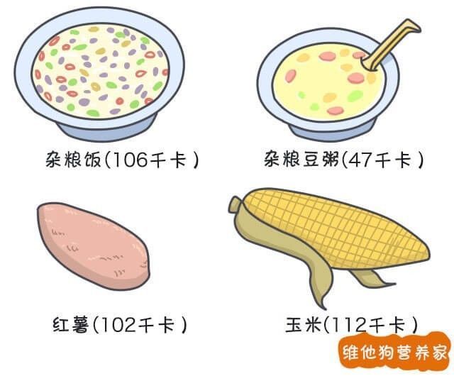 健康减肥食谱_减肥食谱健康营养_减肥食谱健康减肥