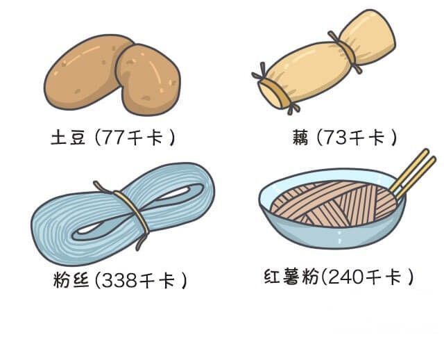 健康减肥食谱_减肥食谱健康减肥_减肥食谱健康营养