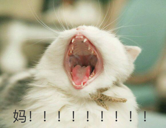 吴磊叫板《明星大侦探3》 但《如何在KTV出人