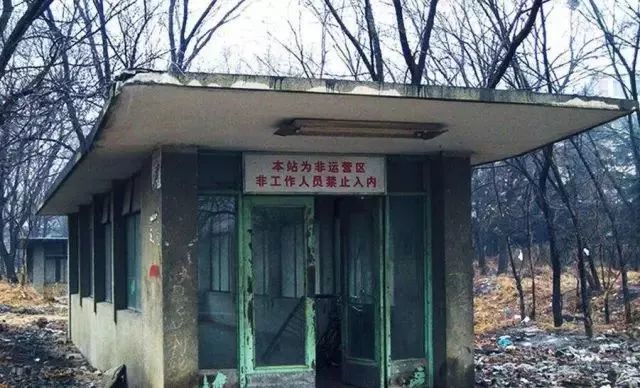 中國東航：新航季增加青島-東京、溫州-羅馬等國際航班技術對人們生活的影響企鵝家族英語萬寶城店