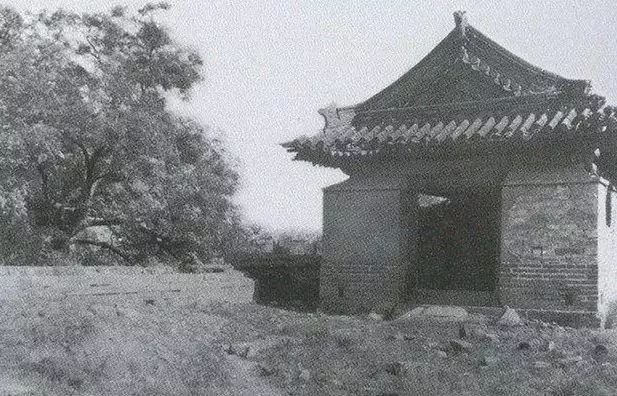 中國東航：新航季增加青島-東京、溫州-羅馬等國際航班技術對人們生活的影響企鵝家族英語萬寶城店