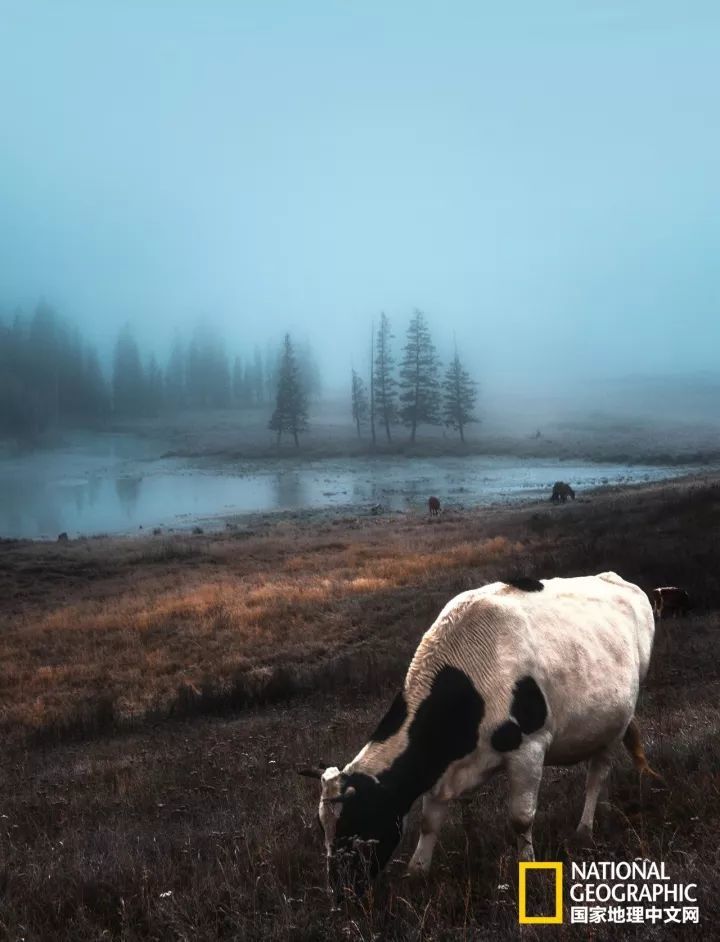 月亮湾|十月去趟喀纳斯，一切秋天黯然失色