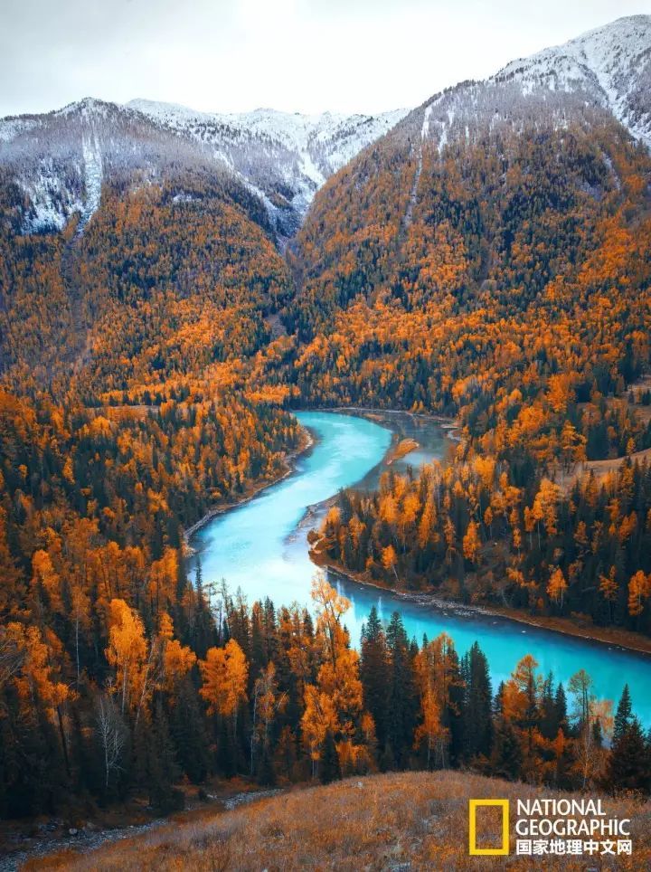 月亮湾|十月去趟喀纳斯，一切秋天黯然失色