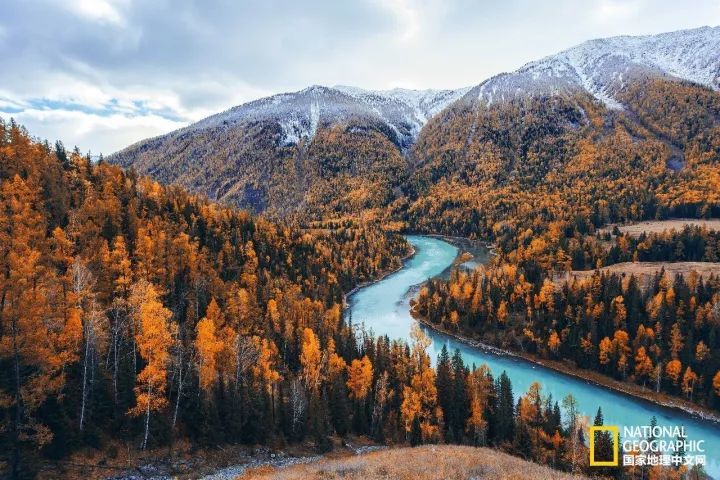 月亮湾|十月去趟喀纳斯，一切秋天黯然失色