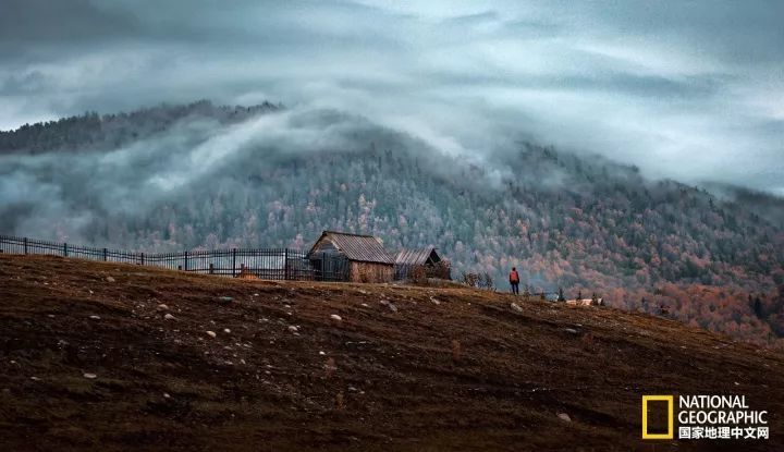 月亮湾|十月去趟喀纳斯，一切秋天黯然失色