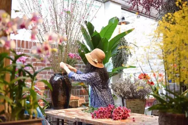 每年砸50w买花，“花痴”美女店主把100多种植物请到了自家院子里泰兴励步英语怎么样
