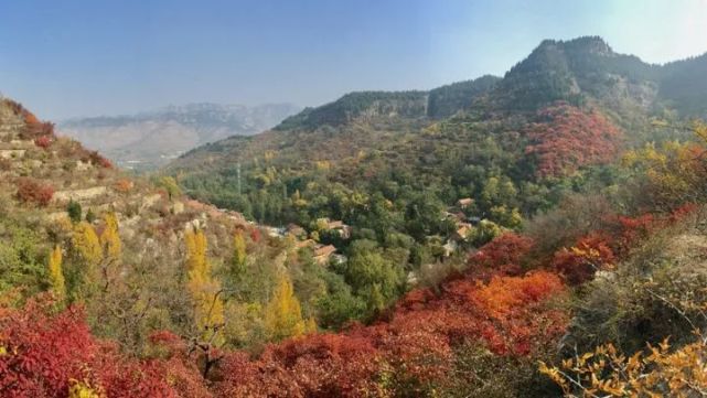 推薦的是第五個賞紅葉的村——石安峪,位於山東省淄博市淄川區峨莊,其