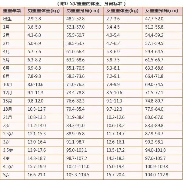 青少年饭量表图图片