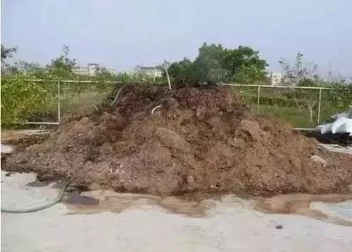 果树|广大种植户朋友：粪肥伤根又落果，别再用了！