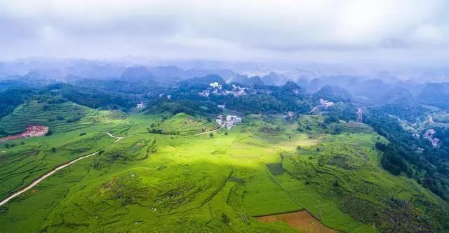 在兴仁市百德镇硐坪村,中秋节以来,村民正在抢抓晴好天气收割地里晚熟
