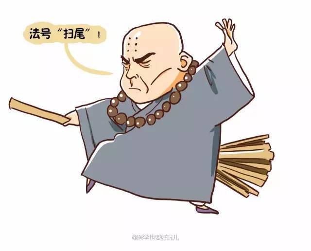 尤其在免疫和消化方面而且还是一名扫地僧!