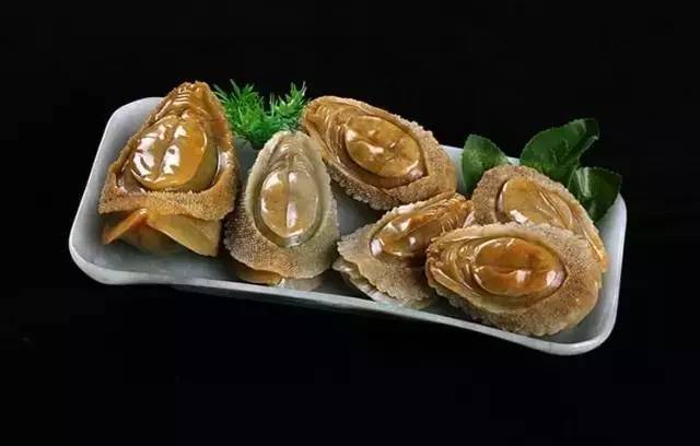 翡翠鲍鱼:四大海味之首.