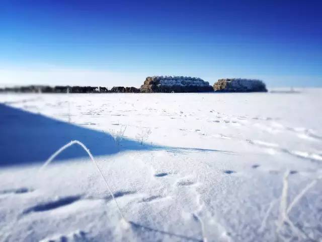 呼倫貝爾,那最純粹的冬天!