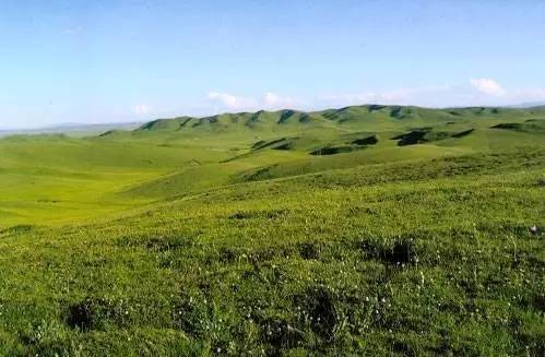 米)都兰县(3180米)察汗乌苏镇乌兰县(2960米)希里沟镇天峻县(3480米)