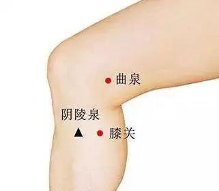 再往上肌肉高起的位置一按(血海)再往大腿上一指宽(百虫窝)