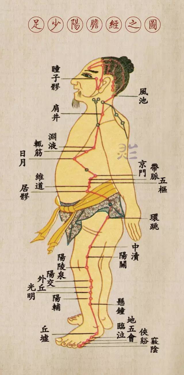 迷途 (足厥阴肝经)云霞烟锁大敦峰,忘却行间转太冲.