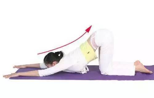 舒展筋骨缓解肩背痛猫伸展效果:每天十分钟,不仅可以促进血液循环