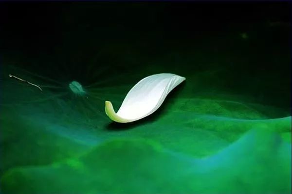 男孩一天纵火8起,原因你可能想不到…