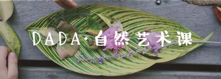 绘画|那些爱画画的明星小孩，现在都怎么样了？