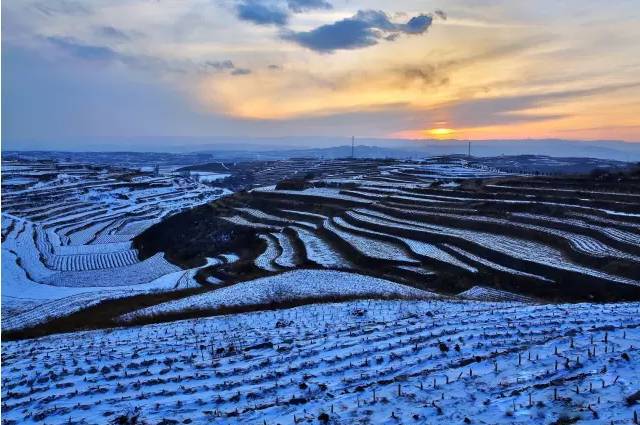 白英阳泉|漾泉右玉雪景 摄影@王军芳杀虎口雪景 摄影@金祥广武长城