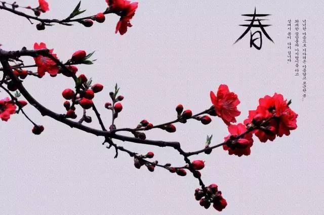 巾帼心向党.建功新时代获奖征文