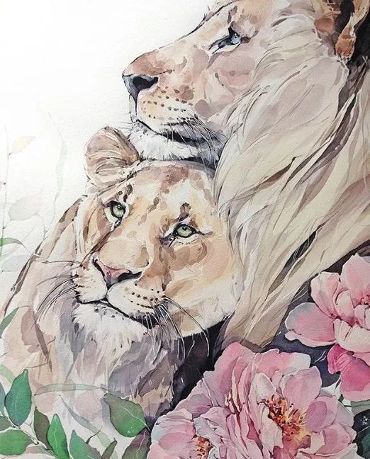 水彩笔下的小动物,萌萌哒