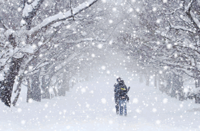 雪中漫步白头图片图片