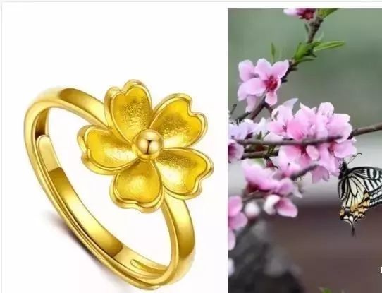 金蘭結(jié)義是哪三肖_義結(jié)金蘭打一個(gè)生肖_義結(jié)金蘭金蘭指什么