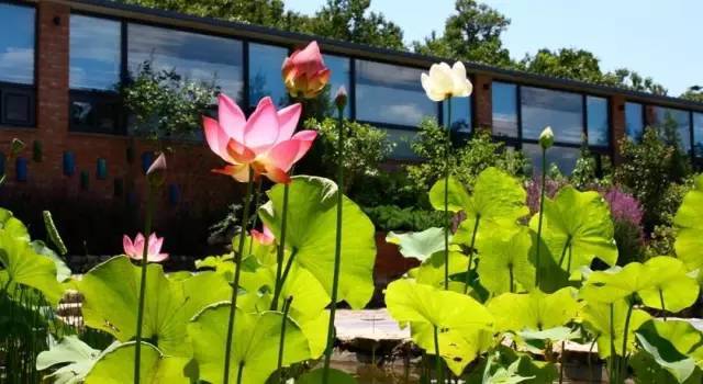 萨洋|老外辞职500强，10年爆改中国山沟30栋老宅，造福一整个村庄！