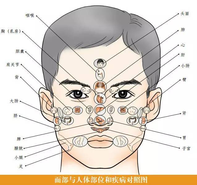 黄色:脾胃,消化系统有问题;通过面部颜色查看健康颜面望诊是几千年来