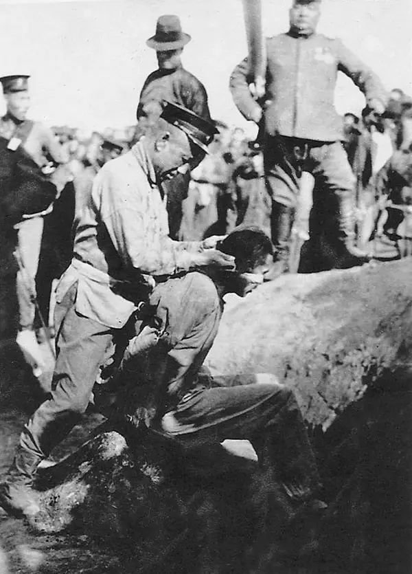 1911-1949年的新闻照片,张张罕见和珍贵