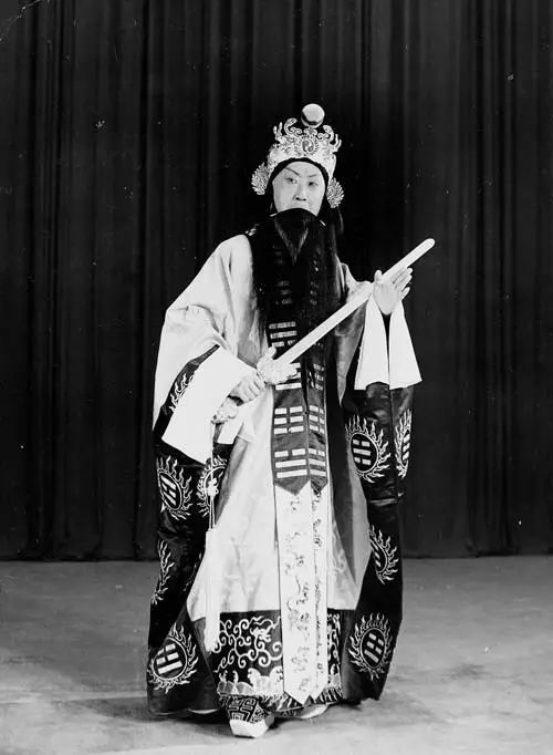 粉墨筝琶忆红毹:"发烧后偷吃四片阿司匹林去看戏的事儿终生难忘"