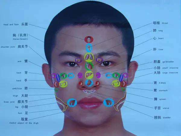 人体全息图,哪里不适按哪里(留着备用)