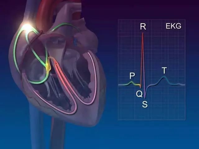 心血管疾病|心血管疾病图文详解！太珍贵了！看完全明白！