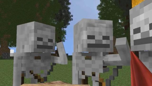 我的世界:那些你不知道的小白冷知识-第一弹