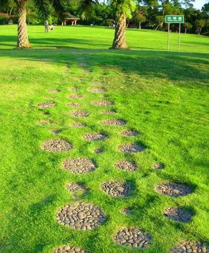 一块干净草坪,一棵树,竟美成一副画