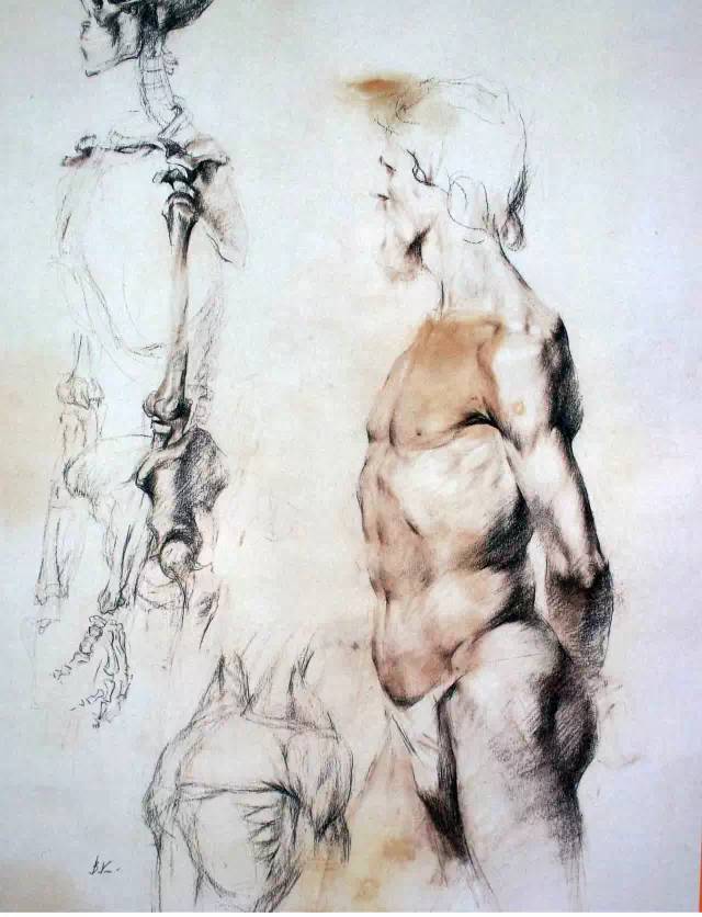 素描|超高质量的素描留校作品！