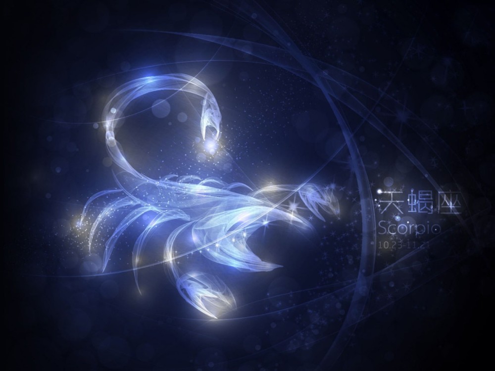 天蝎摩羯水瓶综合能力对比