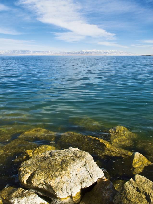 教你2招,用手机摄影秒杀朋友圈!